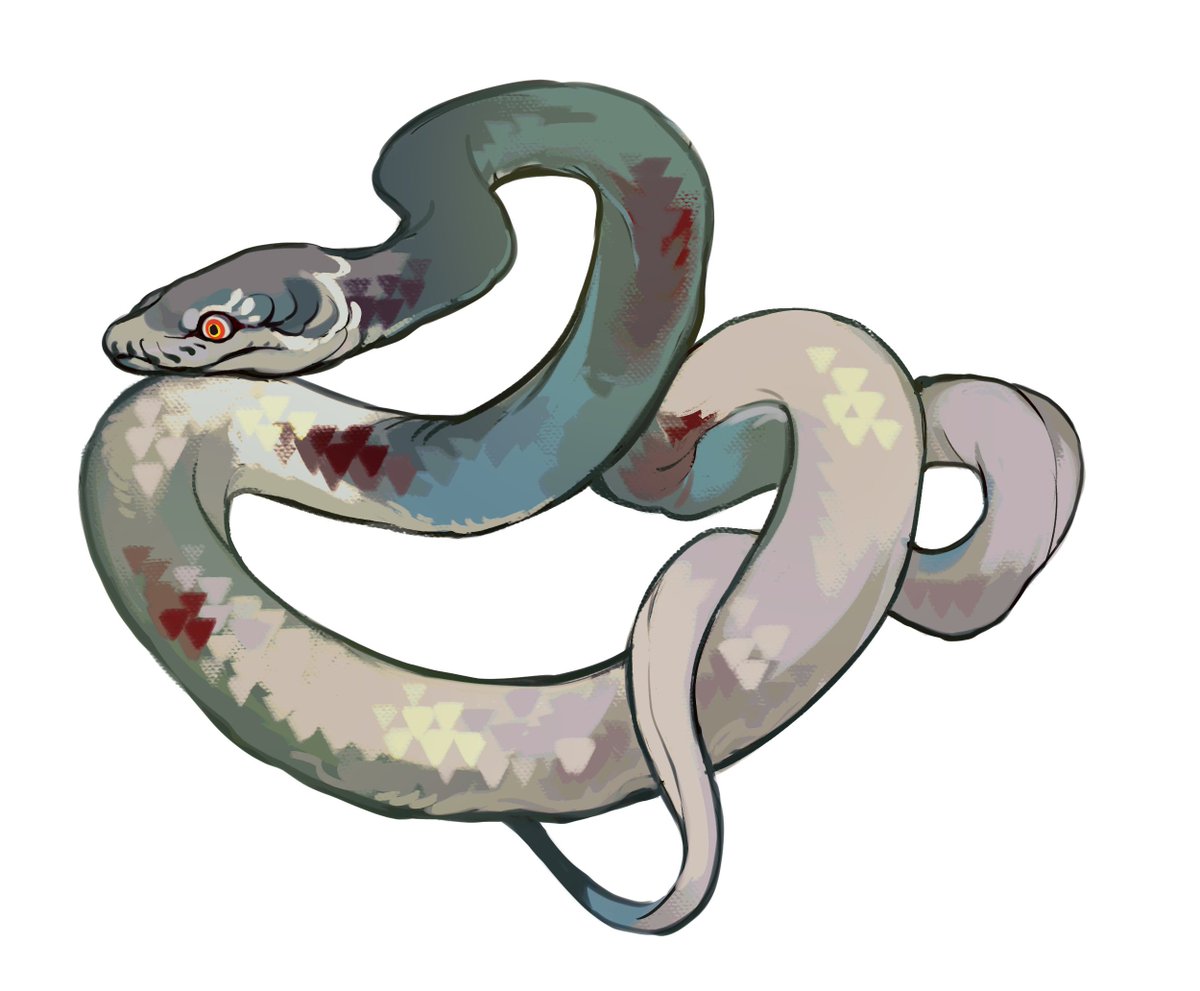 卓の長いものたち