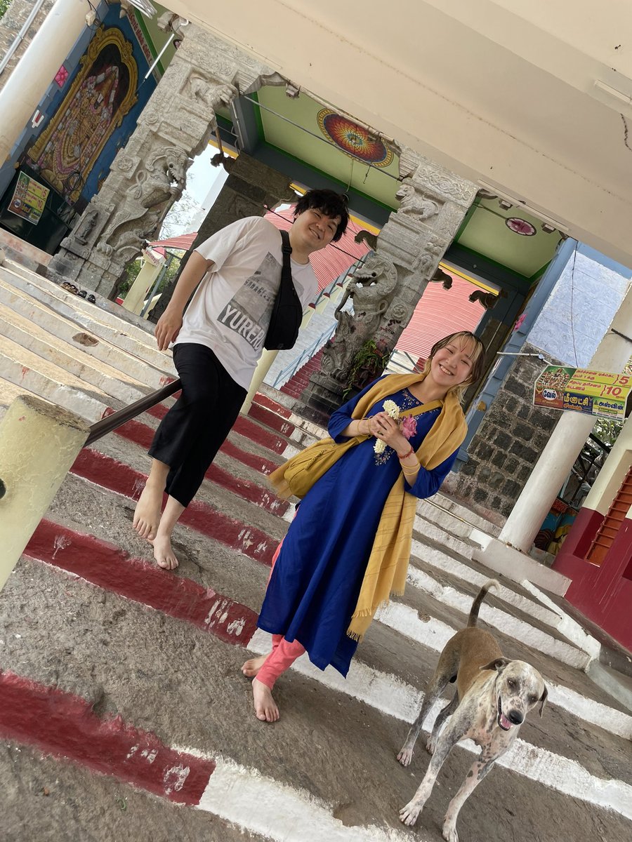 カレー探検家いよちゃん tweet media