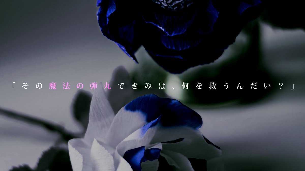 柚子味噌 tweet media