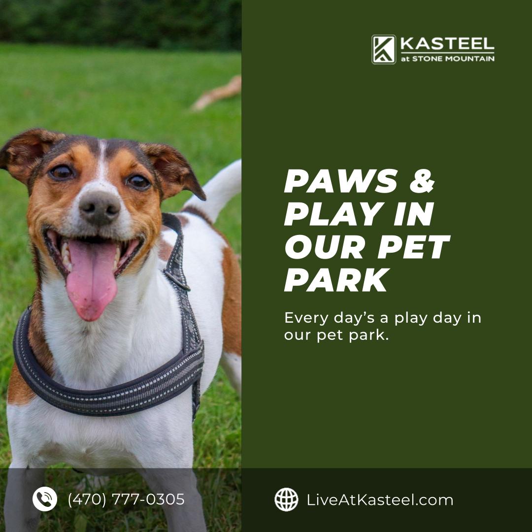 liveatkasteel's tweet image. Unleash the fun at Kasteel At Stone Mountain's pet park. A perfect spot for your furry friends to roam and play. Visit us to see how our community caters to every member of your family.

Equal Housing Opportunity

#PetFriendly #CommunityLiving #KasteelAtStoneMountain