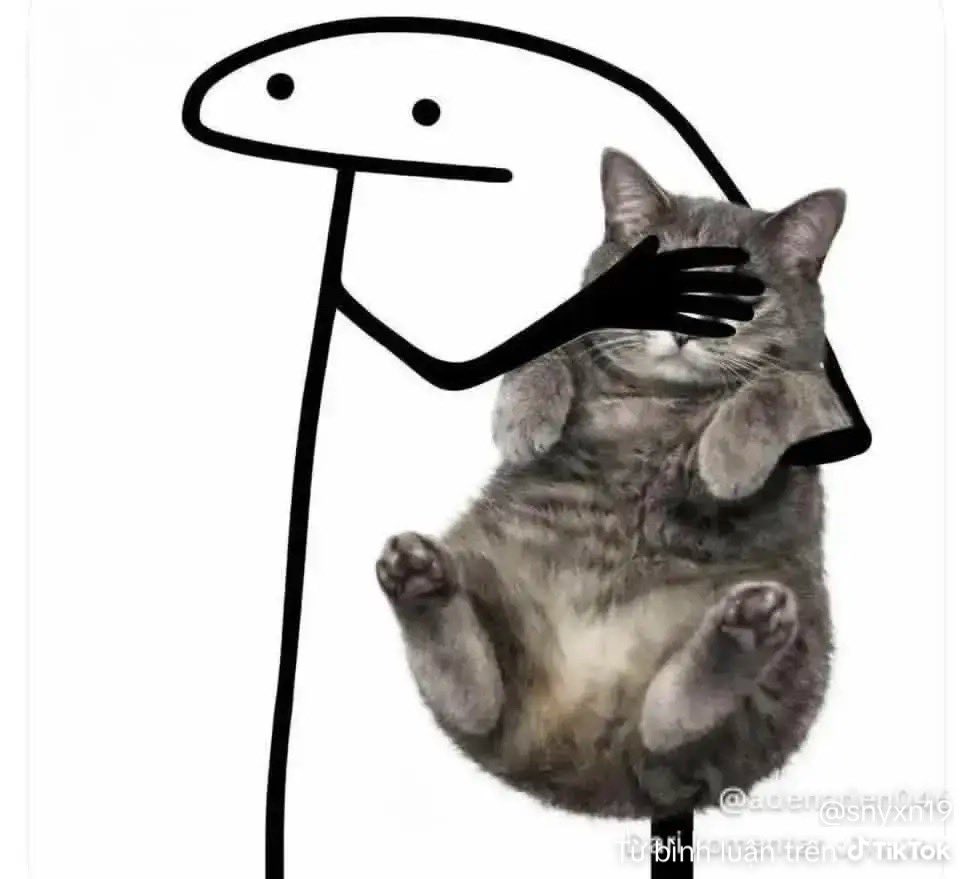 Phi Trần 🌧️🌼 tweet media