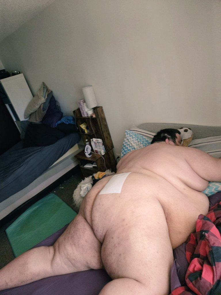 BigFattyBC tweet media