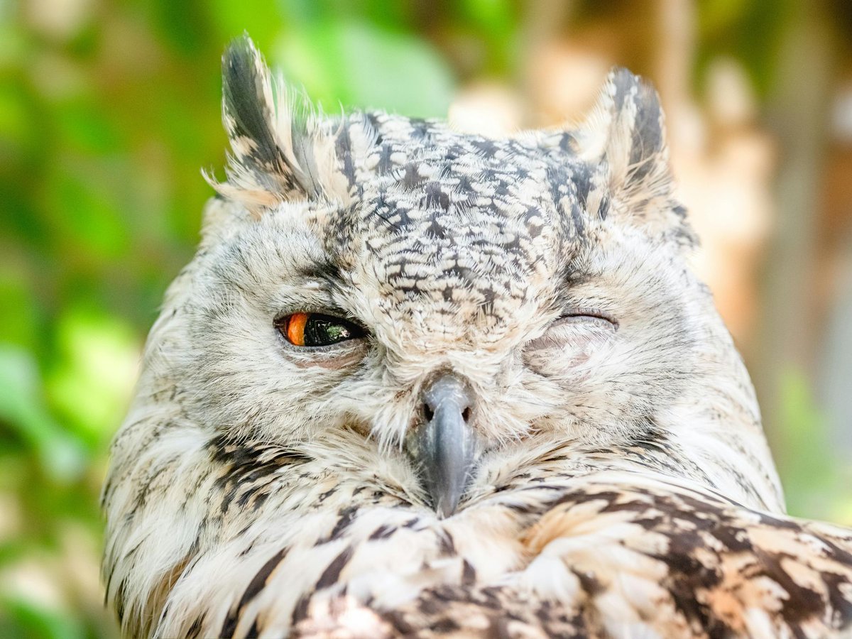DTNEtiquette's tweet photo. The future is winking, come get me...WHO is excited about all the opportunities that await you? Count me in! ~ #DTN #PlansRMade #EachDayMatters #Goals https://t.co/vJBtS6mhqp