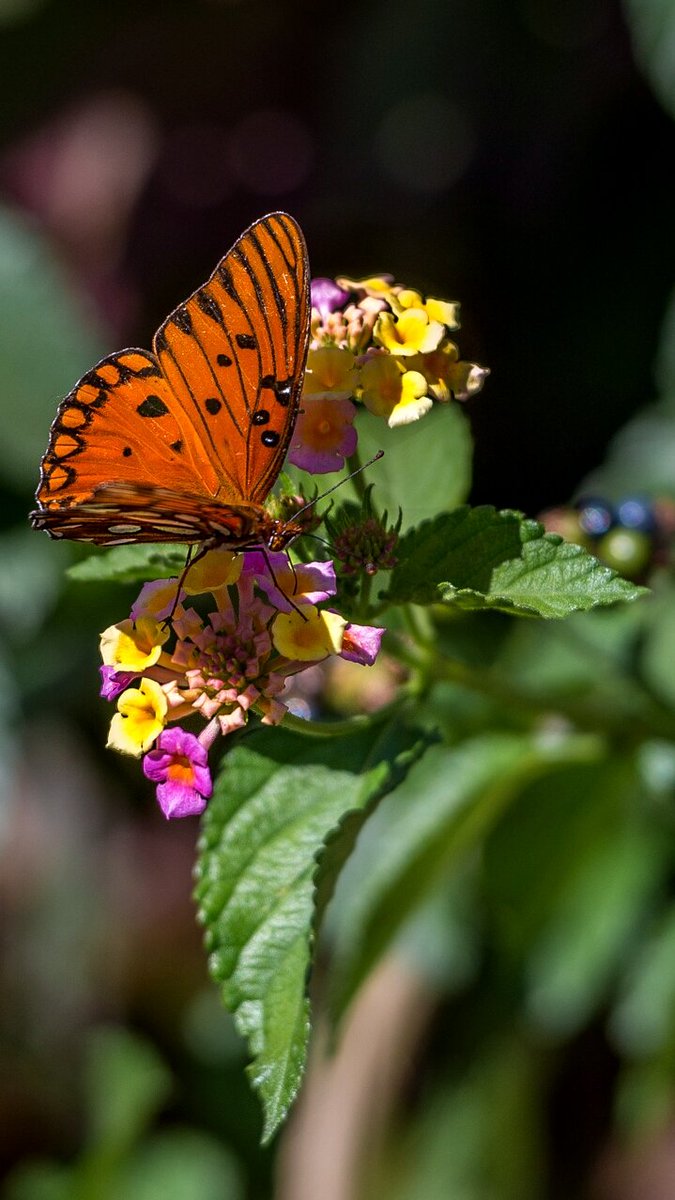 Eyes Wide Open 👀 tweet media