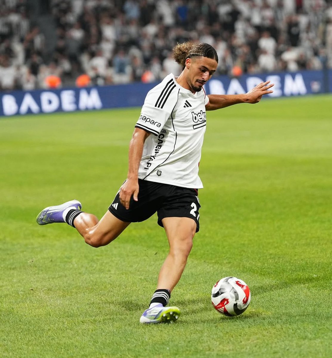 Ağaçlı Yol tweet media