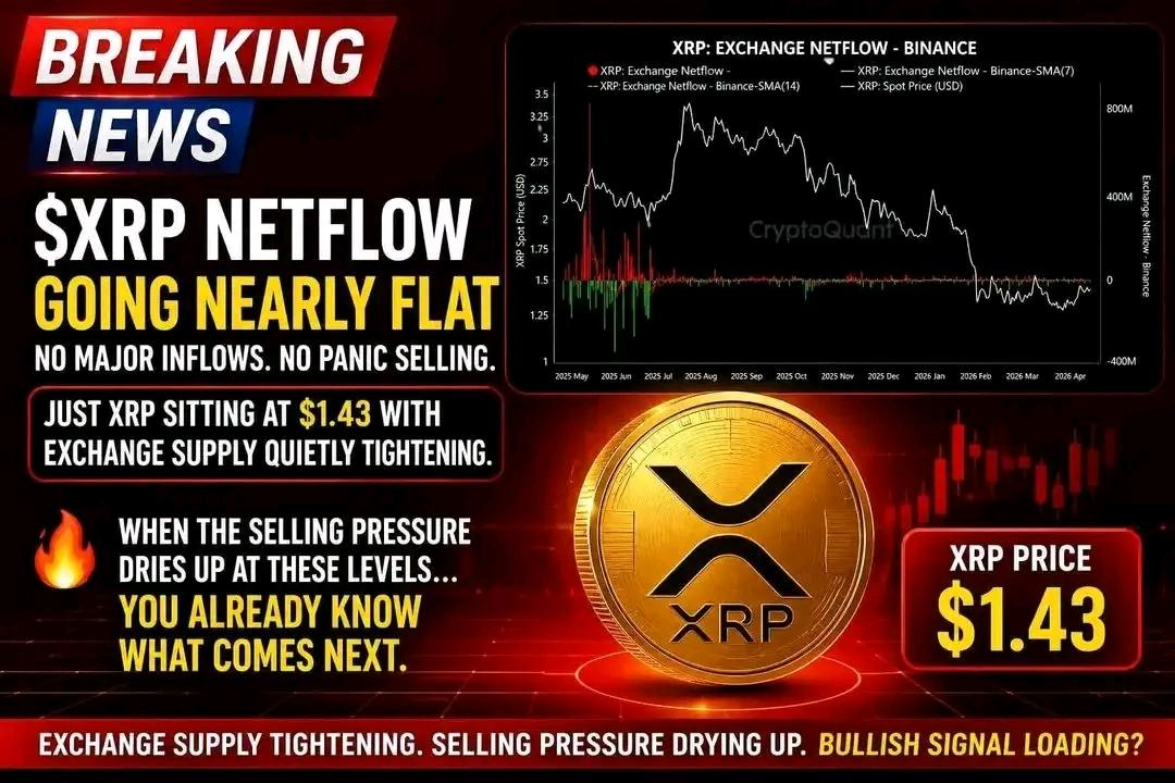 223Simonra's tweet image. 🚨 XRP cooling off… but pressure is building.
Netflows nearly flat, selling fading, supply tightening at $1.43 👀
The calm before the move?

#XRP #CryptoNews #CryptoMarket #Bullish #Ripple