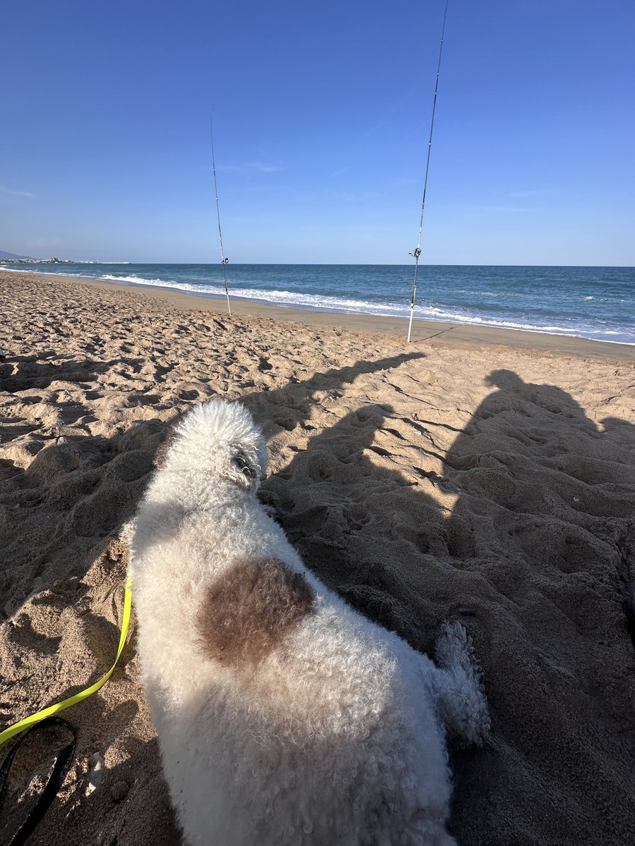 Hoy no hay directo a no ser que llegue pronto a casa amigos toca un poco de 🎣