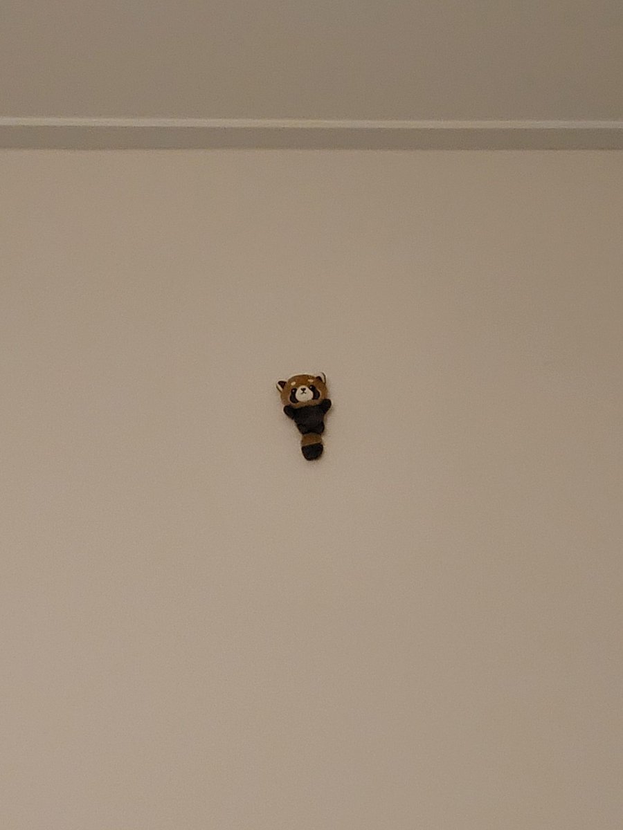 진짜진심 무슨 인테리어인지 감도안오고 존나웃기고귀여움