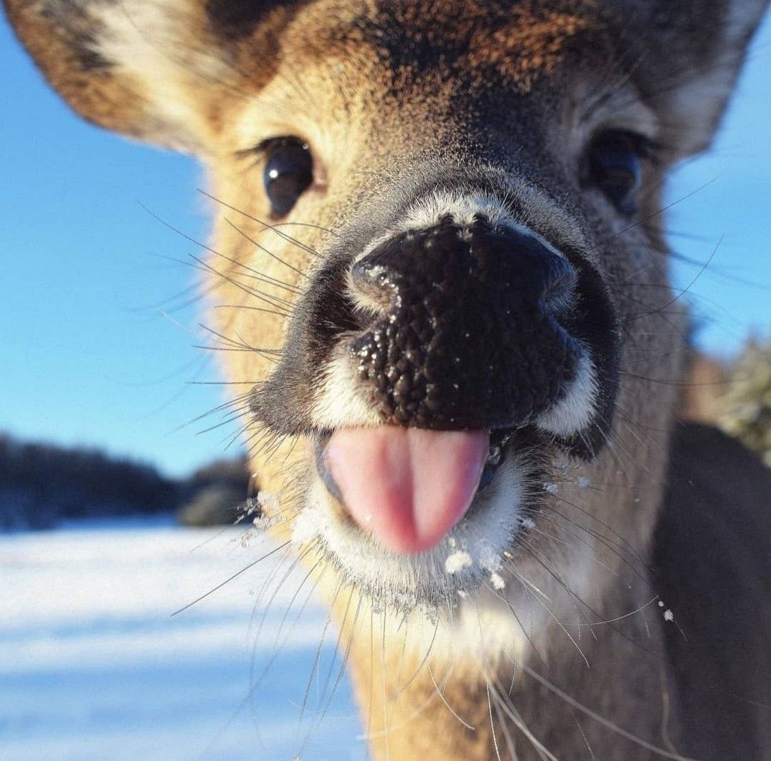 ‍ ‍ ‍ ‍ ‍ ‍ * ‍ ‍ ‍ ‍ ‍ 𝓯ashion ‍ ﹑ ‍ killa tweet media