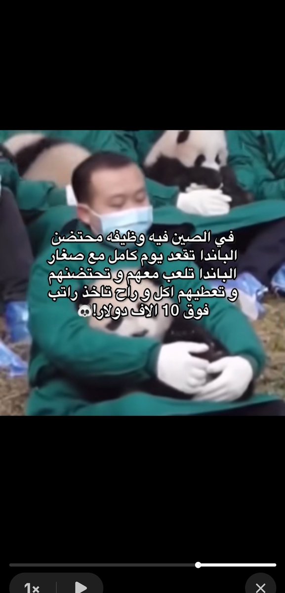 Fernweh tweet media