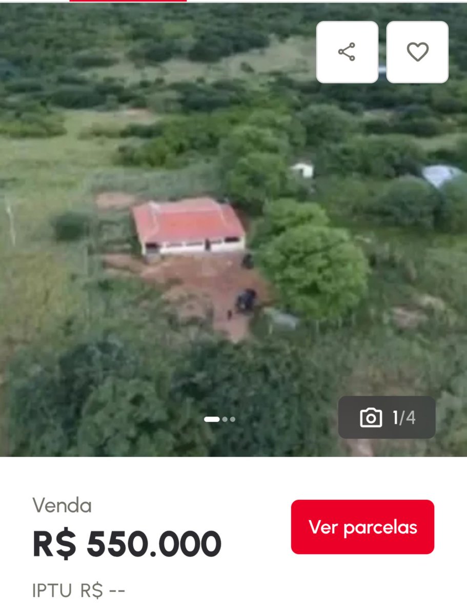 Careca de Ratanabá tweet media