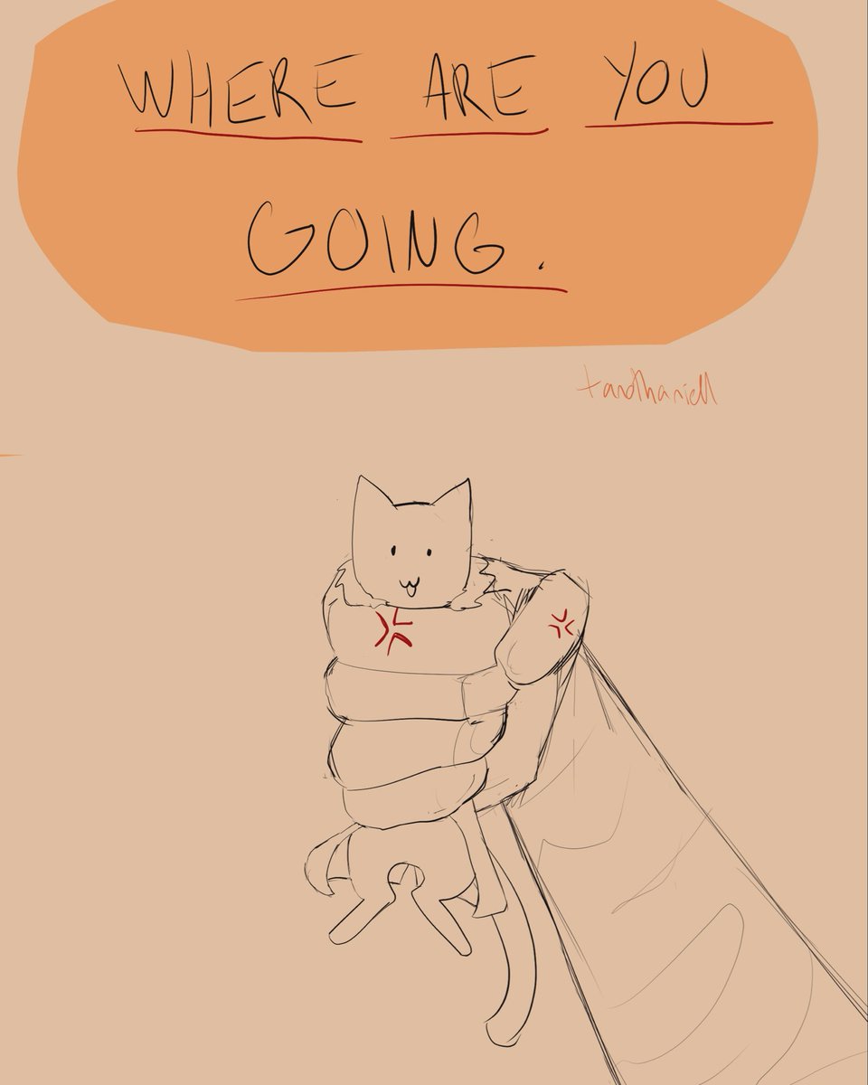 nate🪁 tweet media