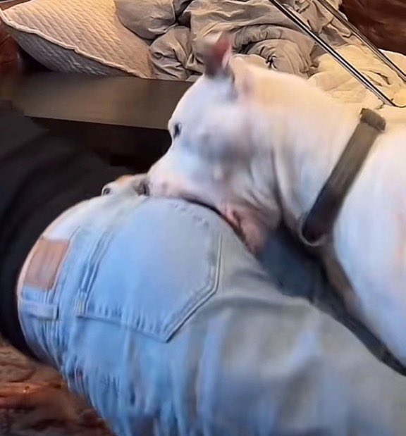 sarah 🏒 tweet media