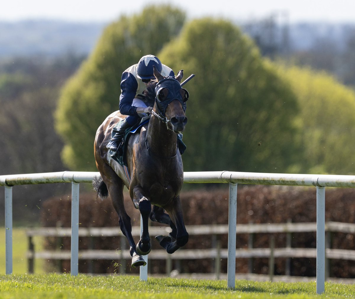 Navan Racecourse tweet media
