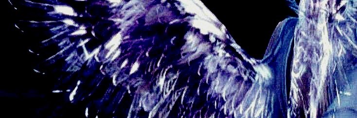 ⁿᵉᵖᵗᵘⁿᵉ ᶻ 𝗓 𐰁 .ᐟ mafuyu maxxing tweet media