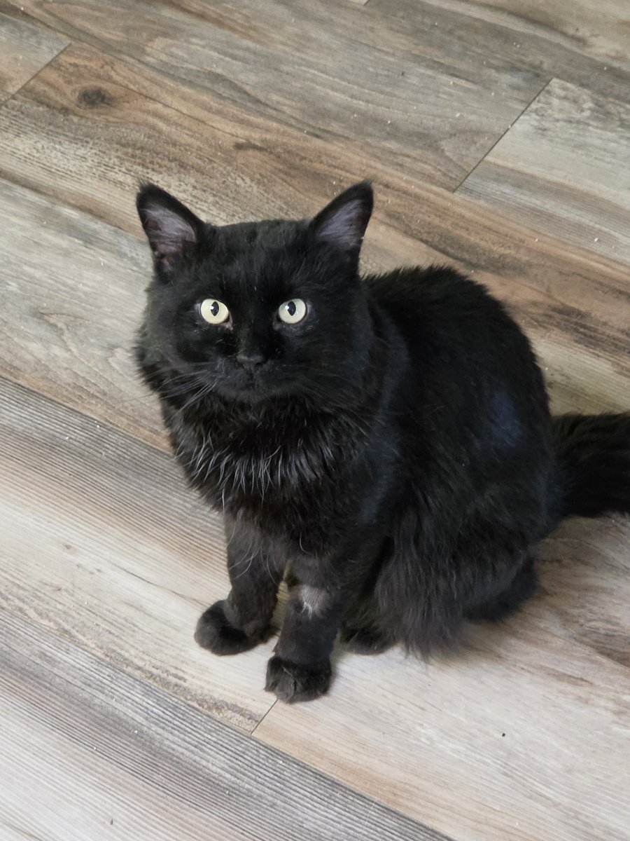 Brad's Pit tweet media