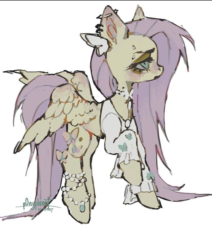 Sylvester Gnomicki tweet media