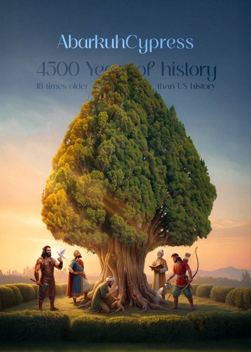 IRANinFRANCE's tweet image. Le cyprès de la ville Abarkuh en Iran a environ 4 500 ans d’histoire et est considéré comme l’un des plus anciens arbres vivants au monde.

Dans la culture iranienne, le cyprès est un symbole de #résistance et d’éternité, ainsi que de liberté et de beauté en équilibre.