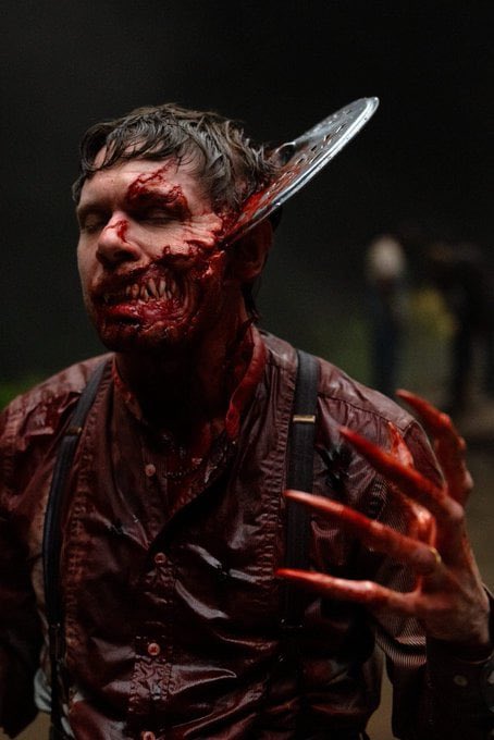 SthEstSpider tweet media