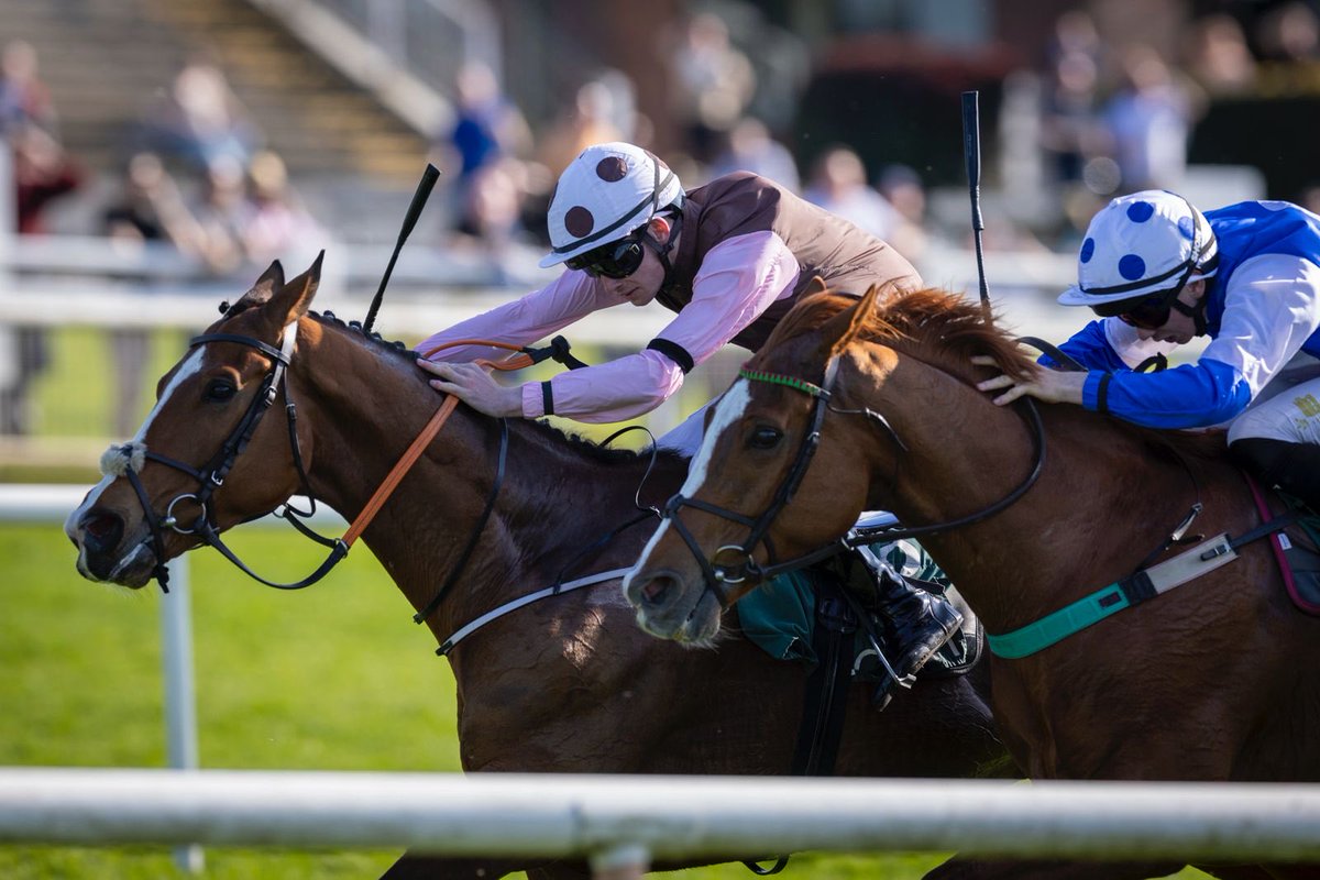 Navan Racecourse tweet media