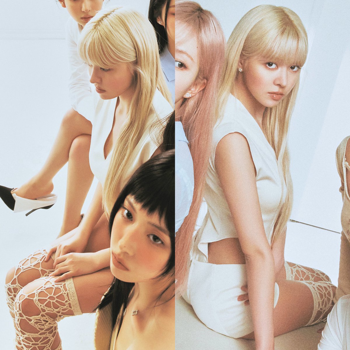 lily source tweet media