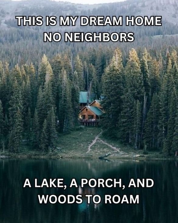 Mountain Cabins tweet media