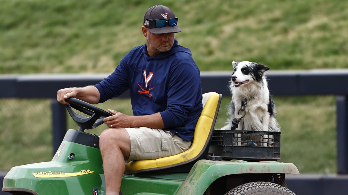 Virginia Softball tweet media