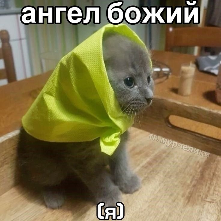 sᴜɴғʟᴏᴡᴇʀ tweet media