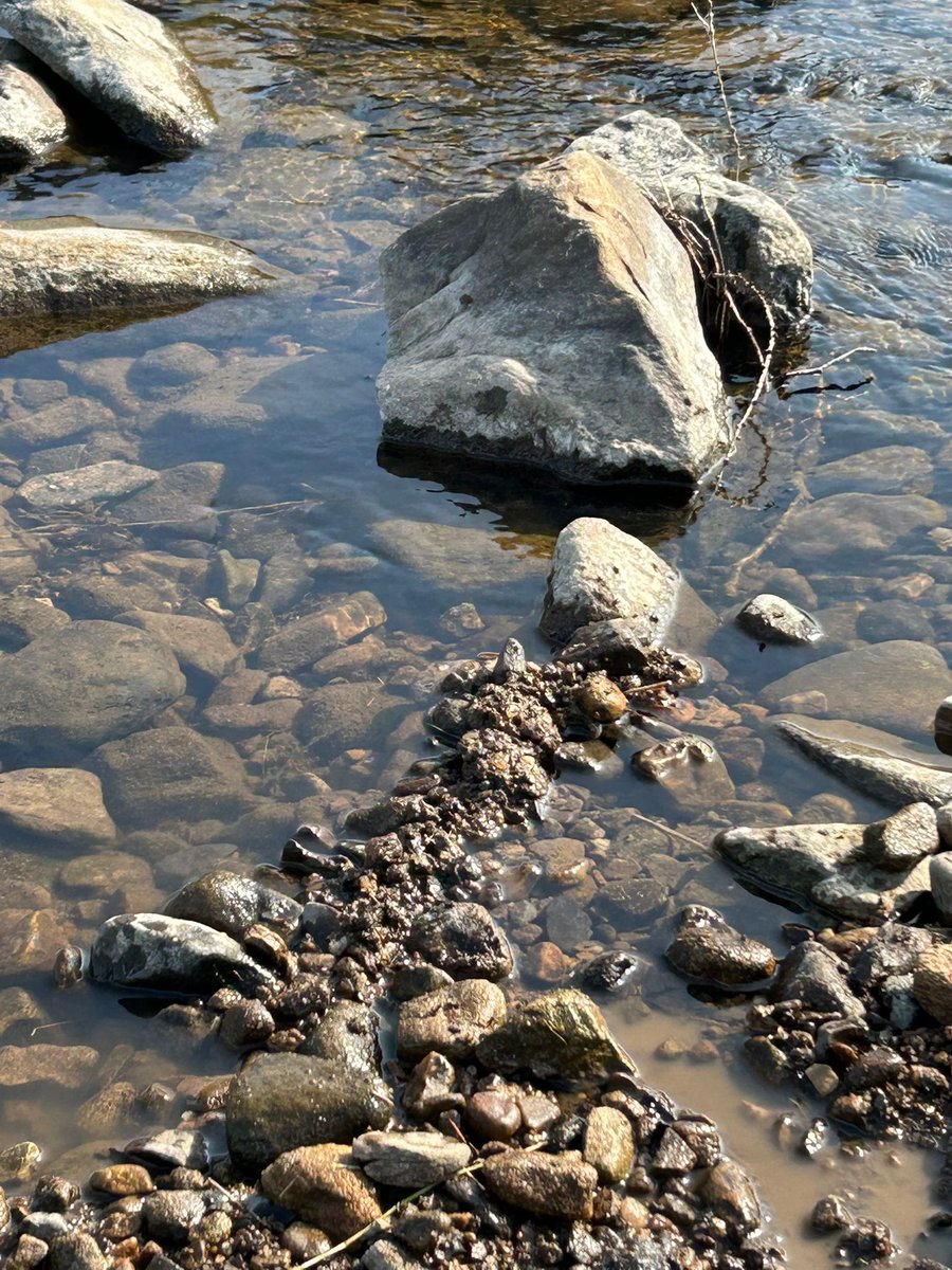 MummyisTired tweet media