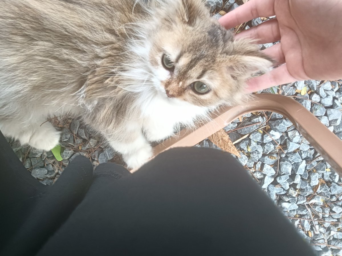 我水饺了 tweet media