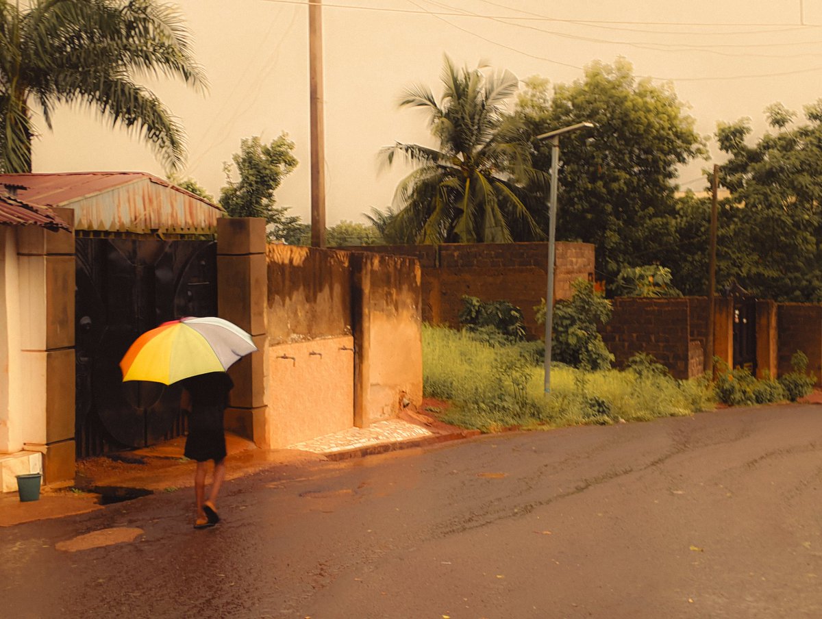 KeneGraphy🦍📸🖤 tweet media