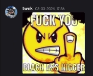 vexski tweet media