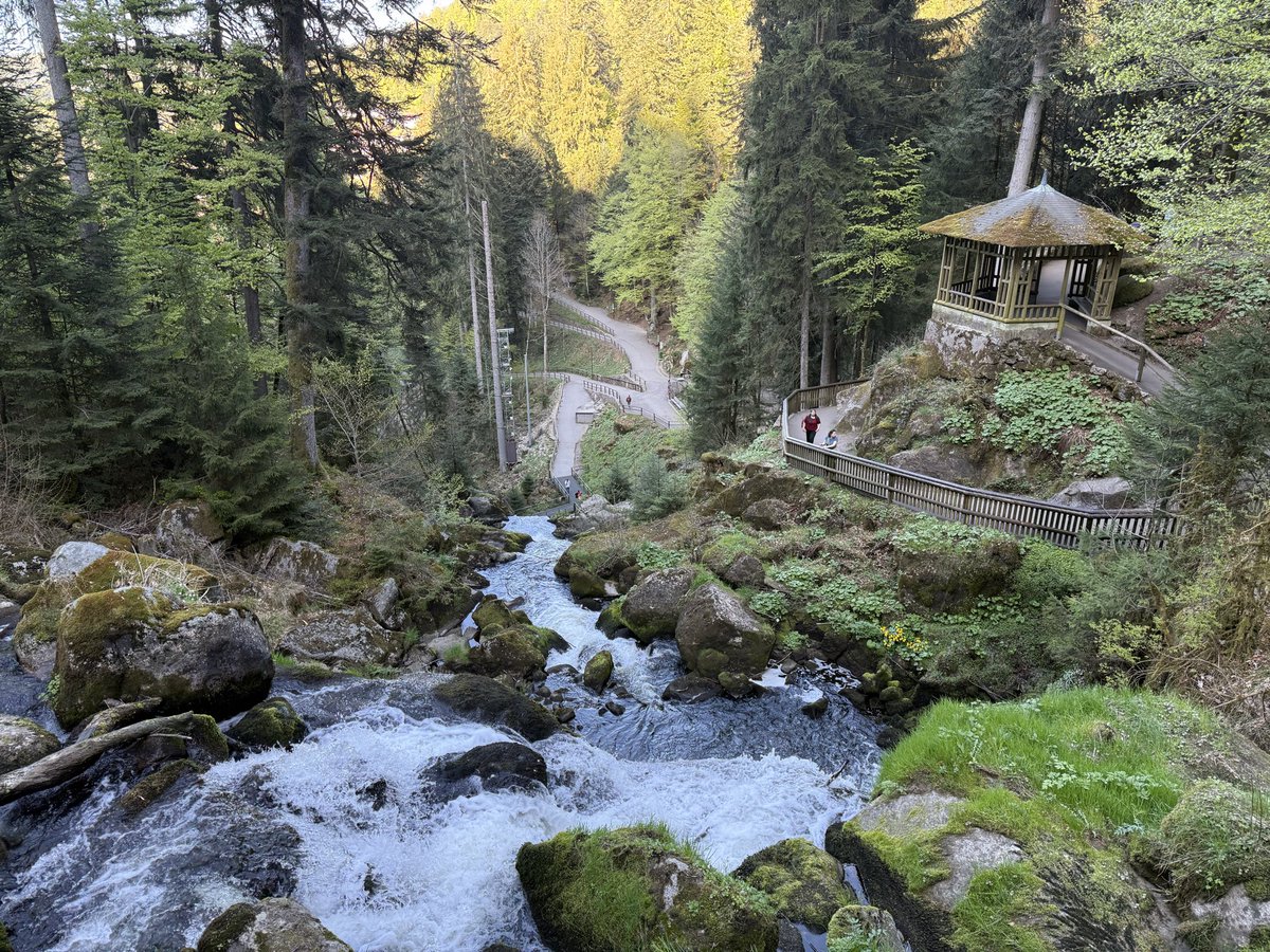 buny44's tweet image. #zen #nature