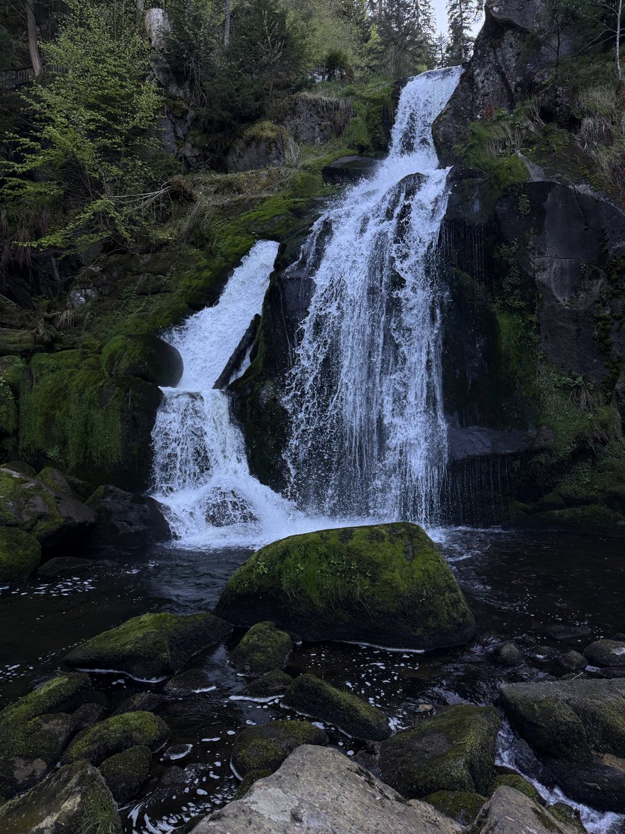 buny44's tweet image. #zen #nature