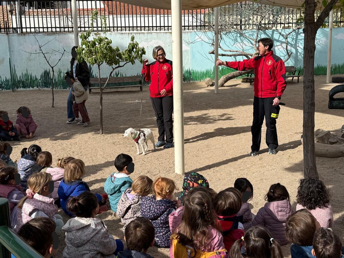 Escuela Española Salvamento y Detección con Perros tweet media