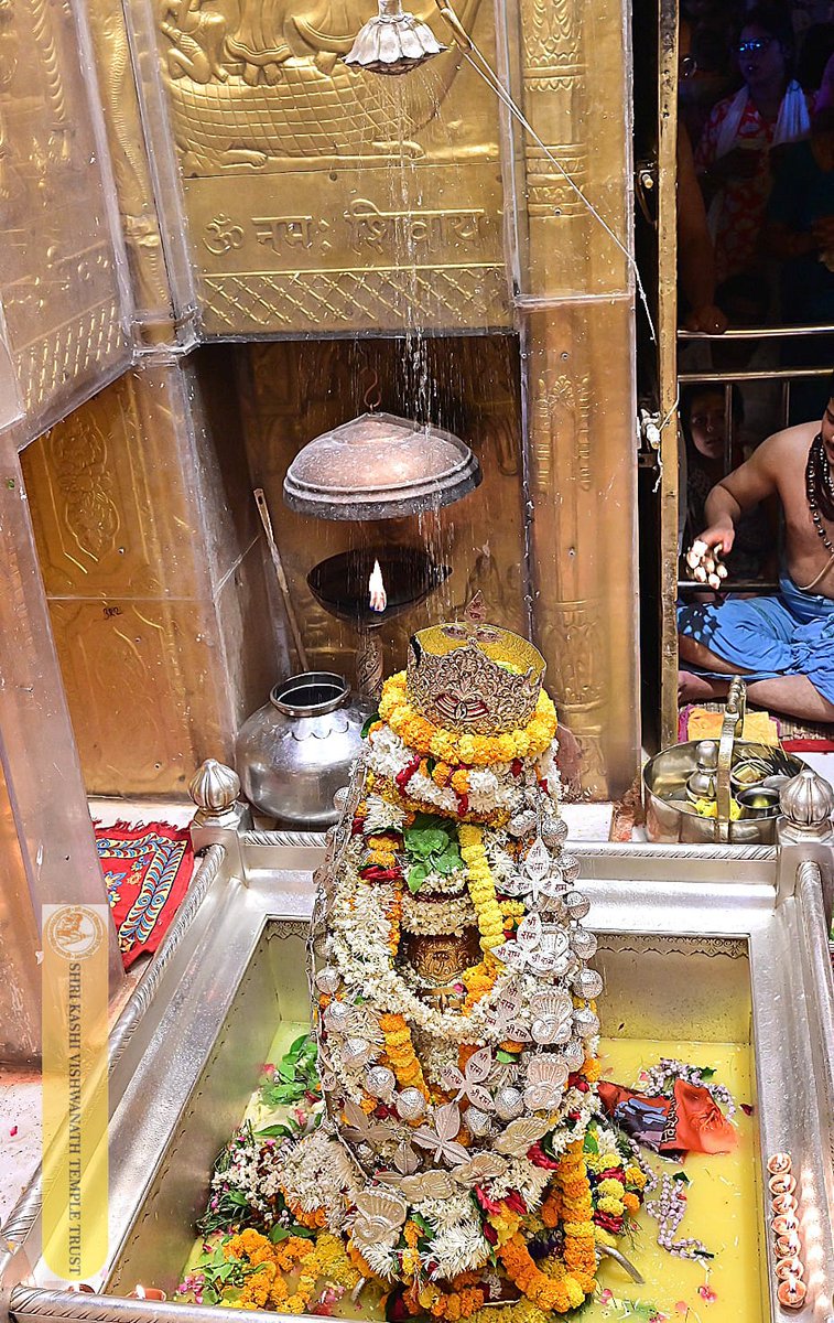 ShriVishwanath's tweet image. श्री काशी विश्वनाथ जी की सप्तऋषि आरती I
#kashivishwanath #kashi #hindu #sanatandharm