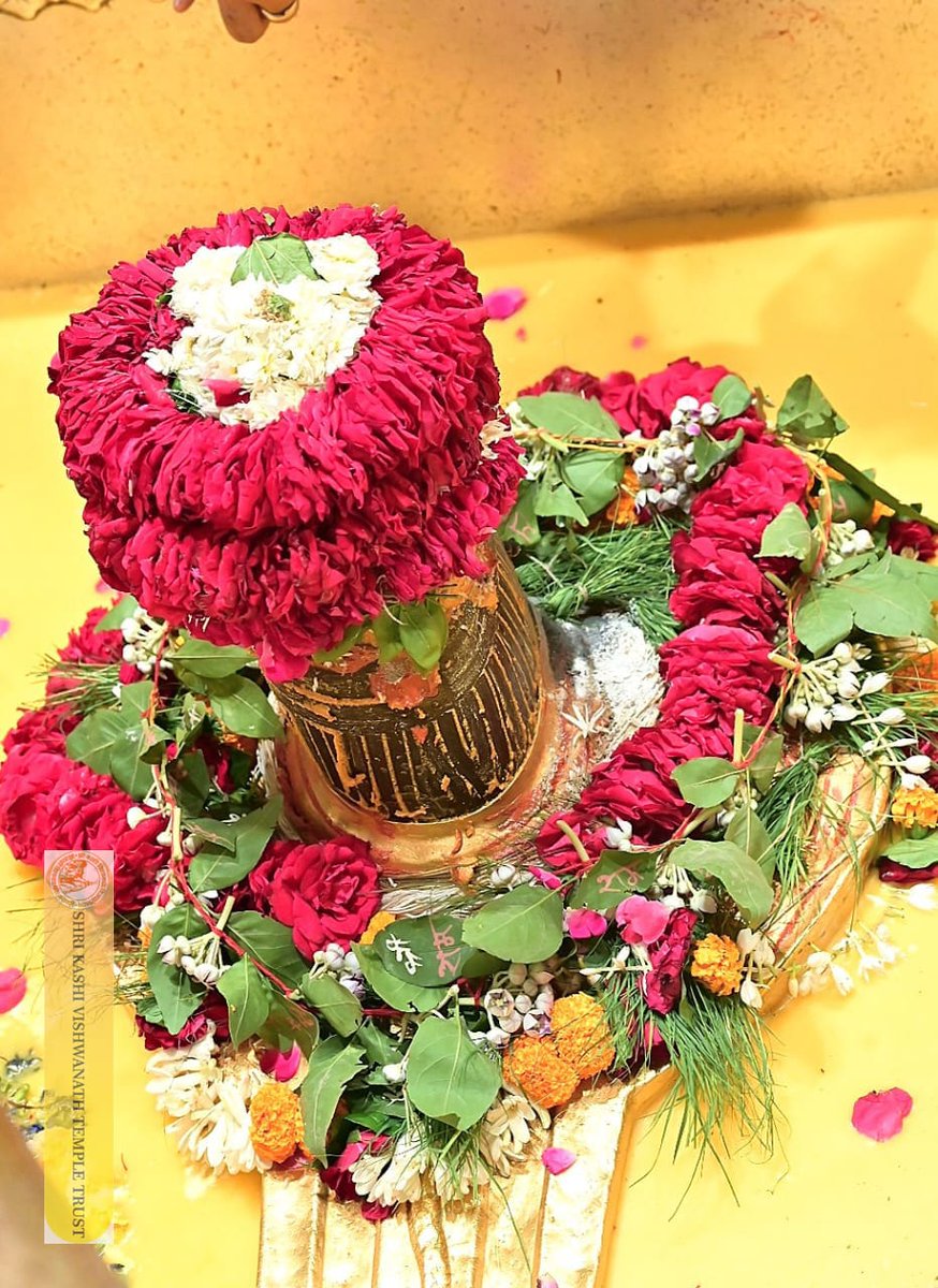 ShriVishwanath's tweet image. श्री काशी विश्वनाथ जी की सप्तऋषि आरती I
#kashivishwanath #kashi #hindu #sanatandharm