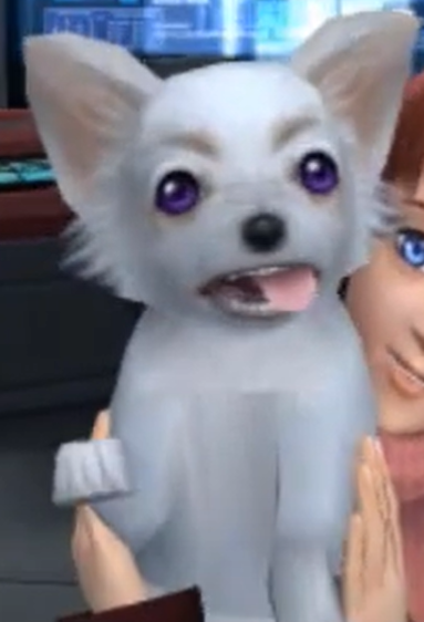 🪷 Willow AspirinJuice🪷 (she/her) tweet media