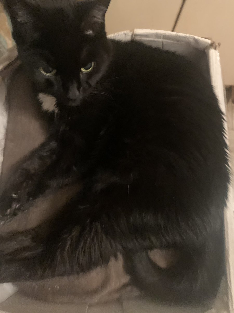 Andrey Bryukhansky tweet media