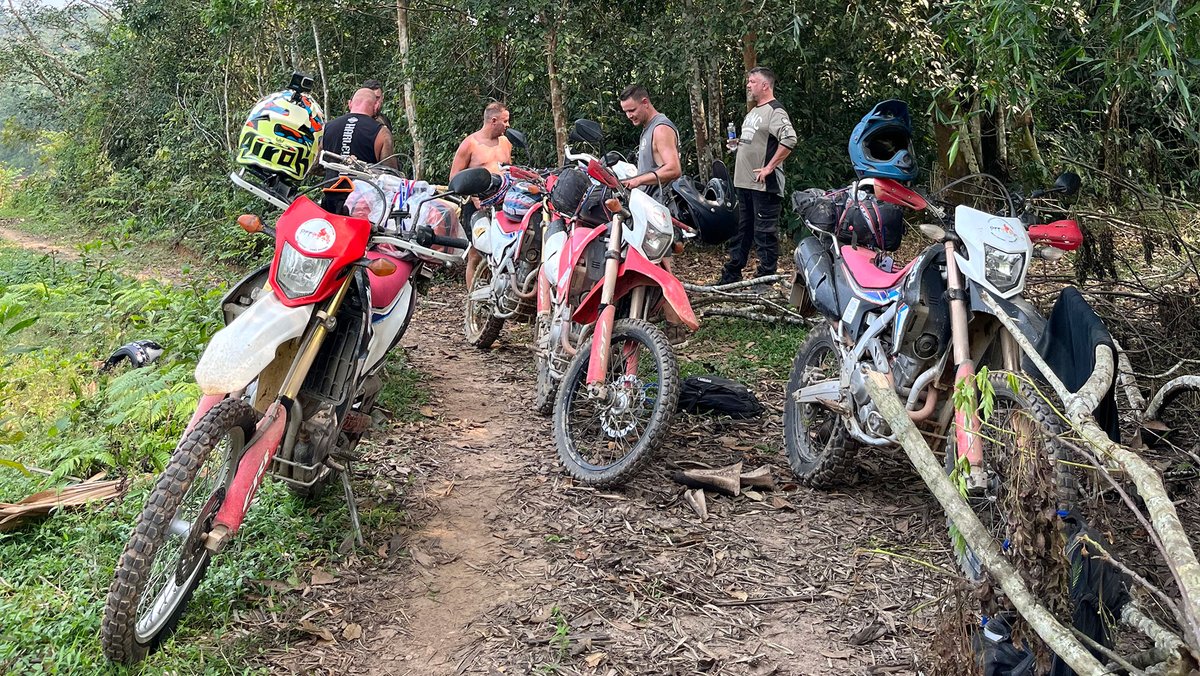 vietnambikers1's tweet photo. The winding dirt path offers riders liberty, thrill, and breathtaking nature. π
π₯οΈ https://t.co/AjP8UumiTM
#ridersurgetoexplore #adaptingtochallenges #celebratingrealadventure #vietnam #xuhuong2026 #trending2026 #motorbike #motorcycle #tour #rental #honda #XR150L #CRF250L #CRF https://t.co/9dpBVBkZa5