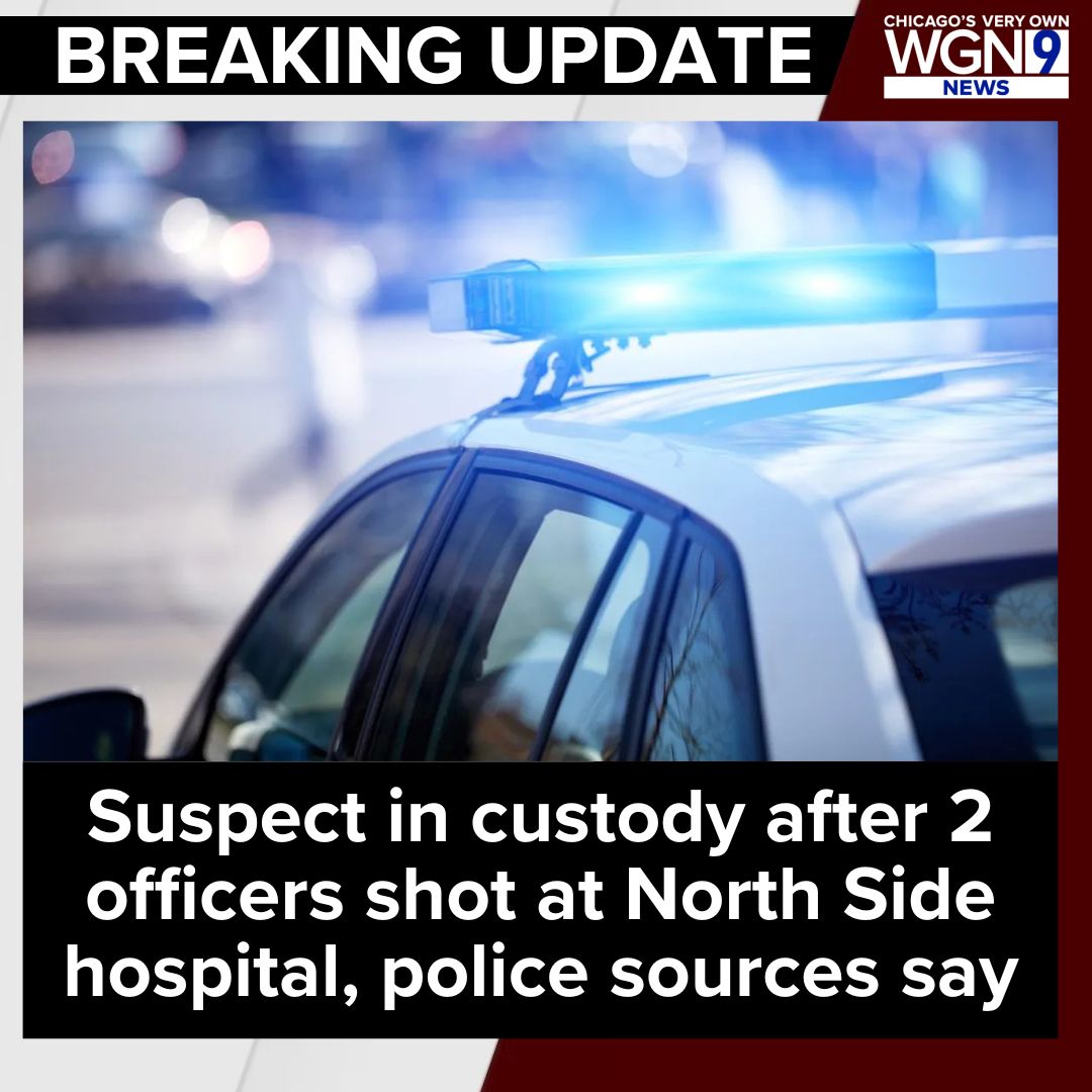 WGN TV News tweet media
