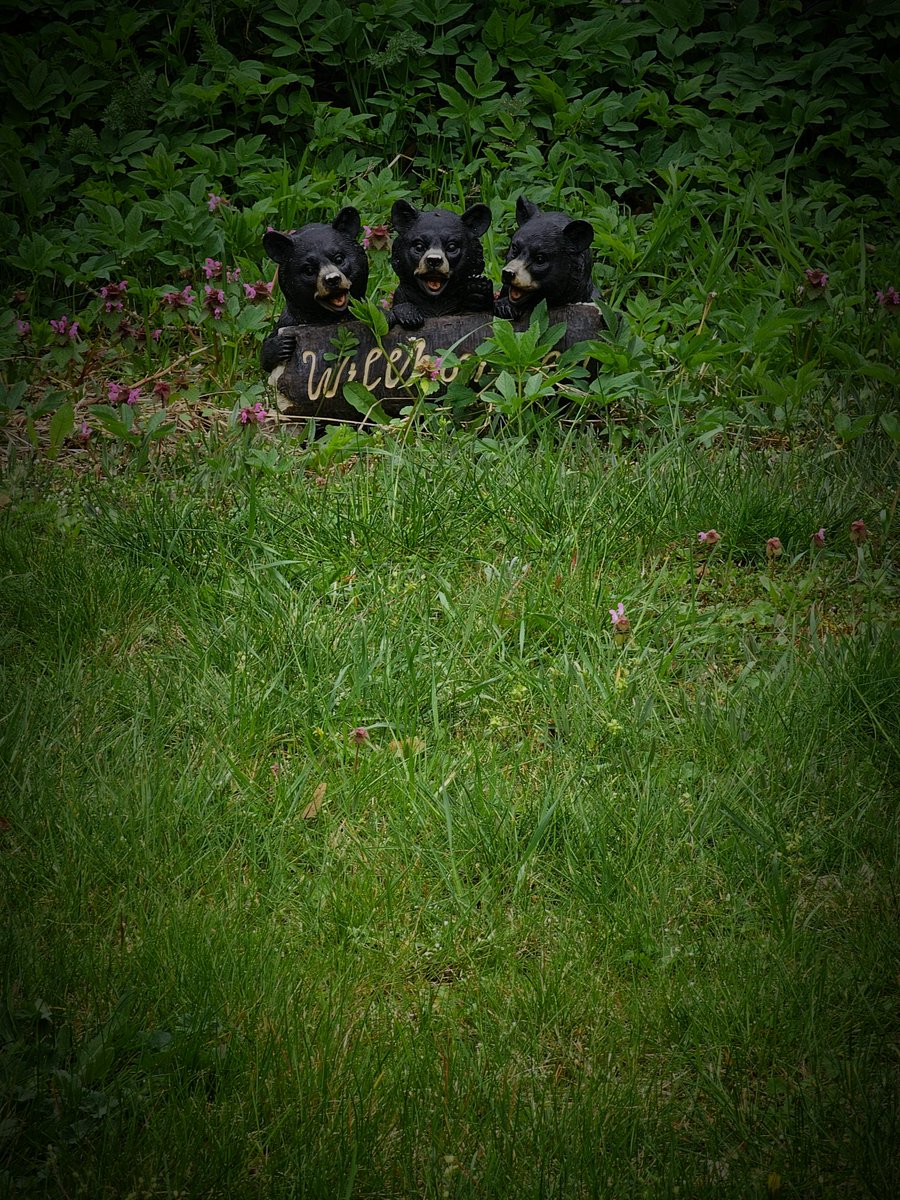 🇹🇲Artyk aventurier🌱 (@artykkaka) on Twitter photo 