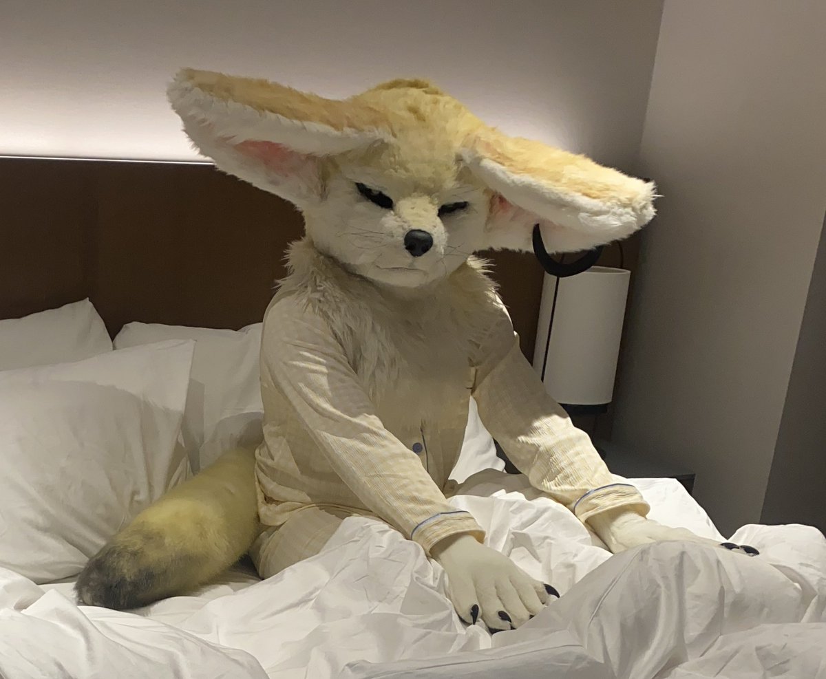 pixelXcorp's tweet photo. 💤 https://t.co/3y9O8oVXvy