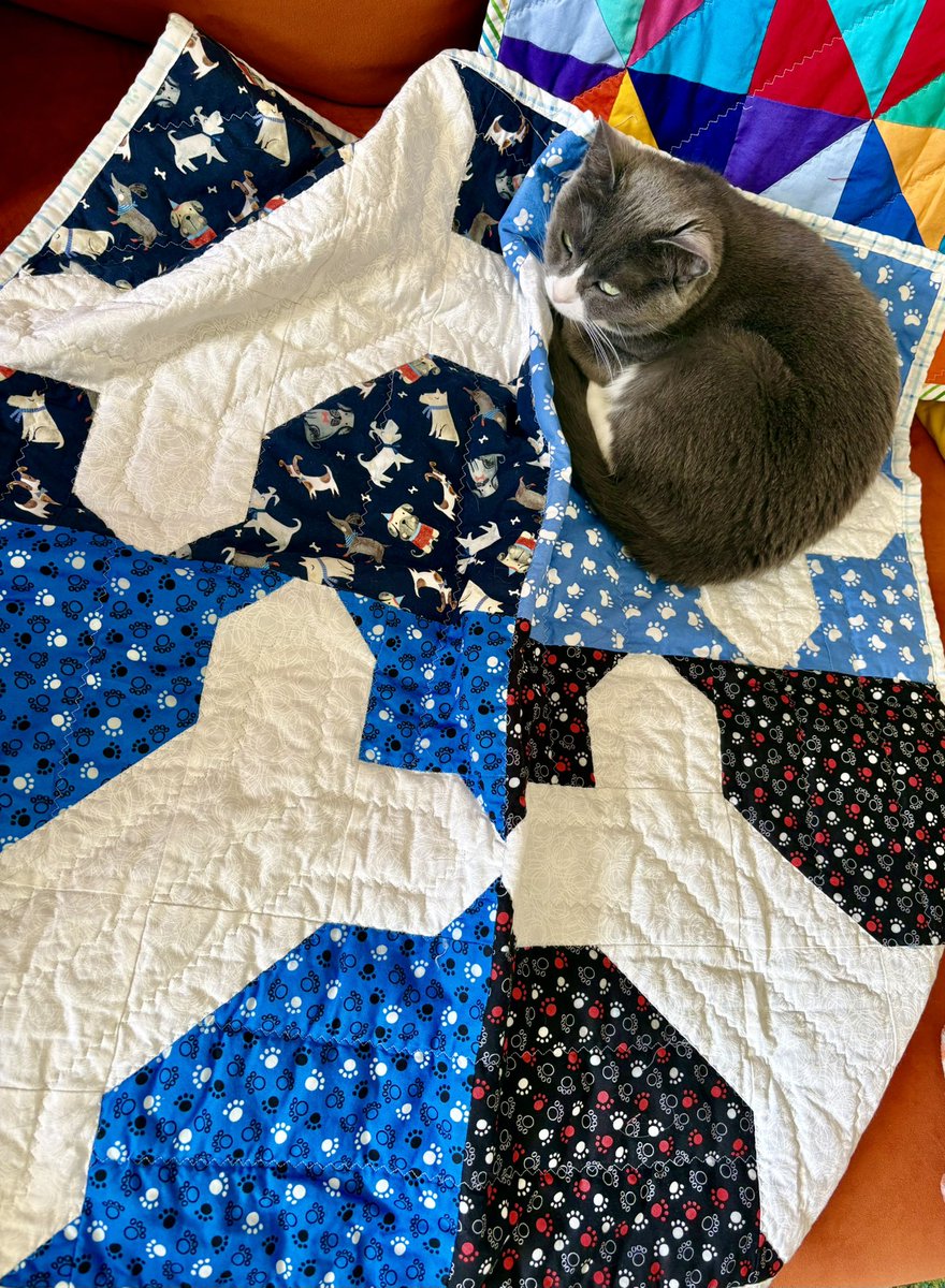 WilmaBenton19's tweet image. Mom got this quilt fur ME (fundraiser fur Shelties) but Betsy thinks it is fur her! 😤😤😤
#CatsofX #Catsoftwitter #Caturday