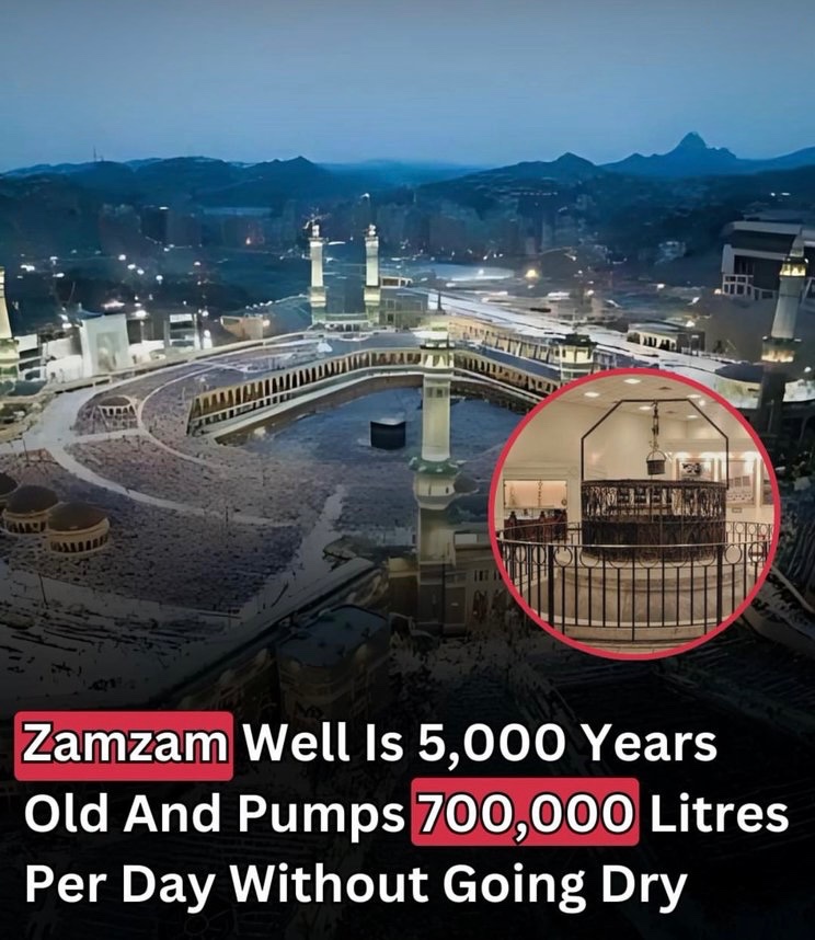 MuslimMatters tweet media