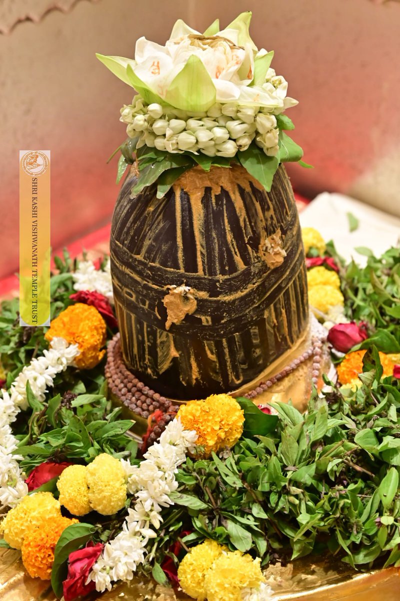 Shri Kashi Vishwanath Temple Trust tweet media