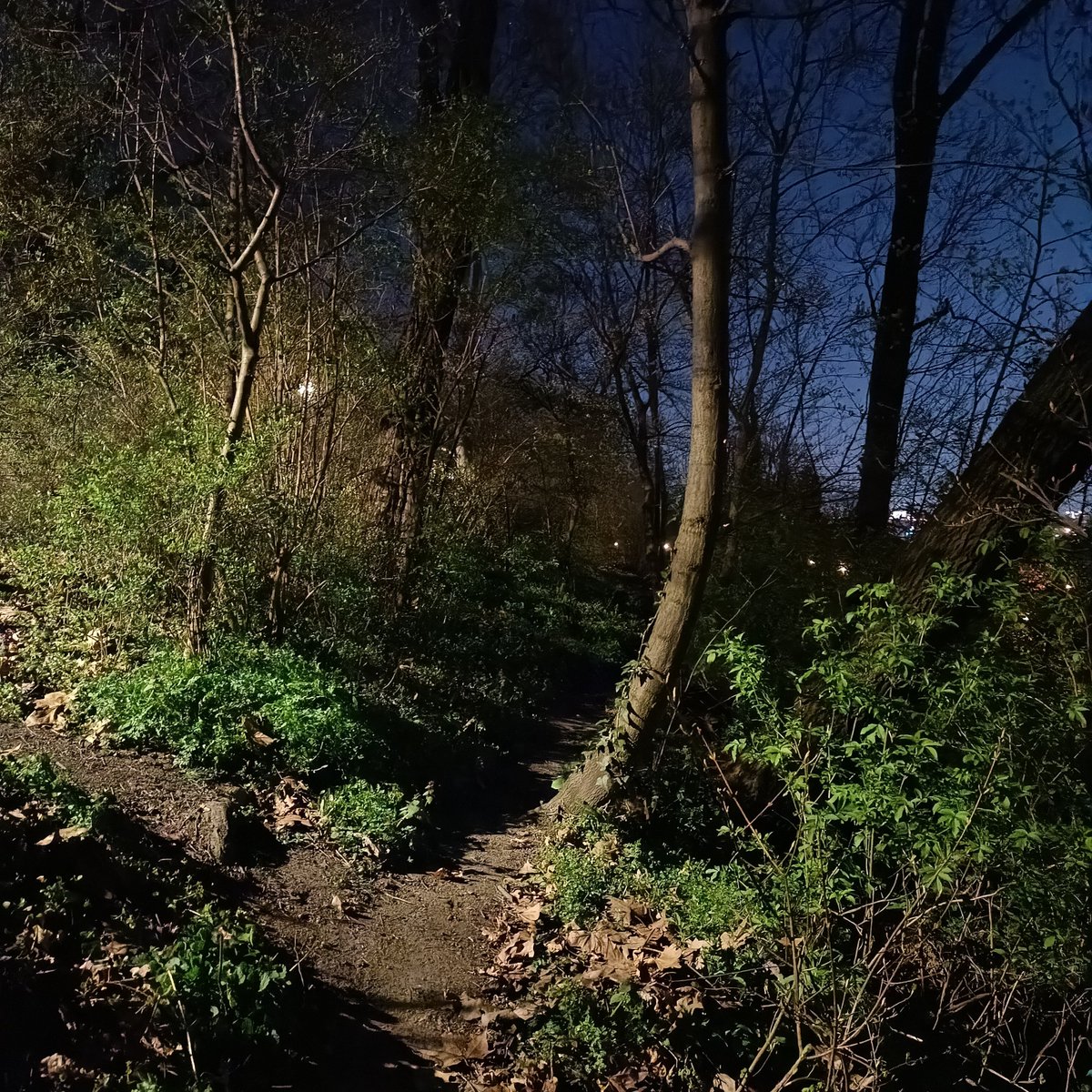 Venku už se otepluje takže s <a href="/LightCruising69/">Mr-Wank-It-All</a> dáme občas večerní procházku po pražských parcích. 🌳🍆
#gaycrusing
#outdoorcruising
#pragueoutdoorcrusing