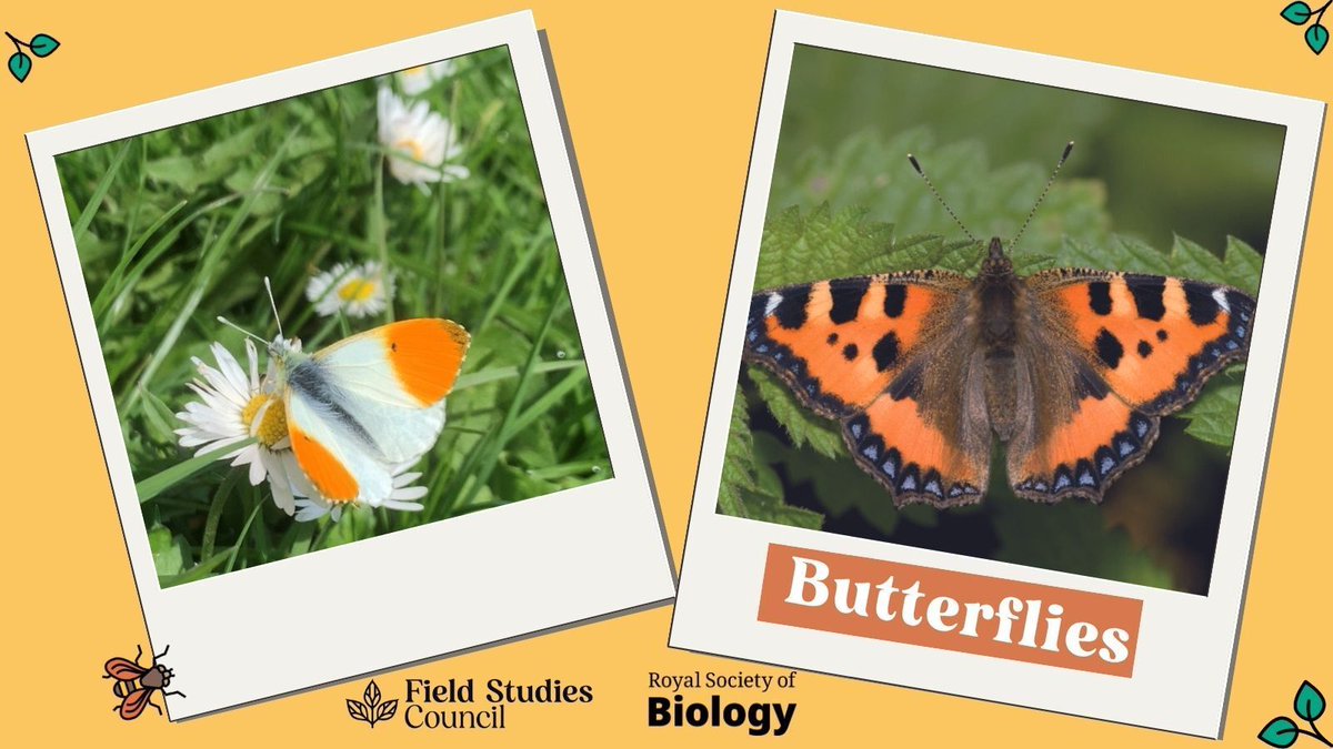Field Studies Council tweet media