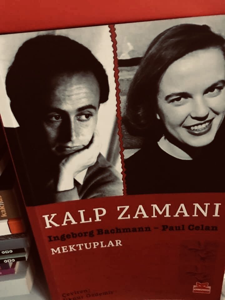 zifonaoropa tweet media