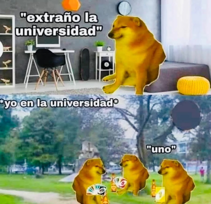 Rincón Curioso tweet media